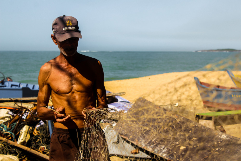 Como a COP 30 pode nos levar além: a desigualdade social deve permear as discussões ambientais