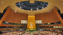 CIEDS marca presença em debate da Cúpula do Alto Comissariado da ONU em Nova York