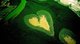 Cinco de junho: Dia Mundial do Meio Ambiente